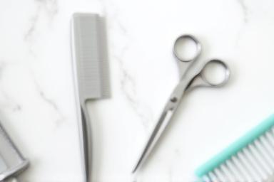 Set of professional pet grooming brushes and scissors on a clean table